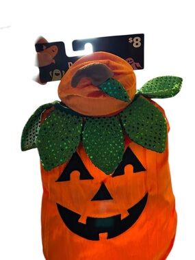 Dogs Orange Pumpkin Costume Hat with Green Leaf Collar